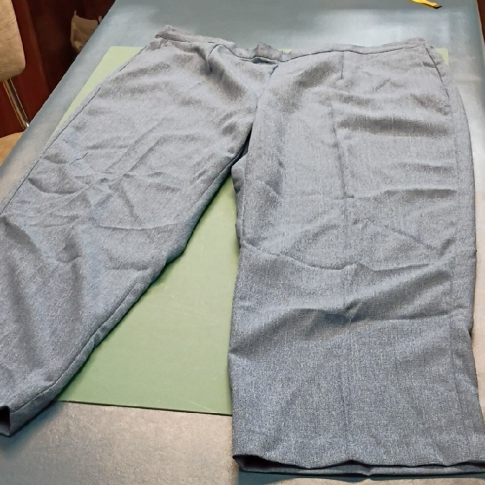 Alfred Dunner Saphire Blue Pants 20W Short
